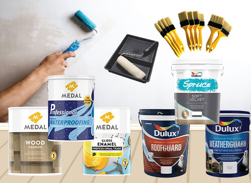 Paints & Brushes
